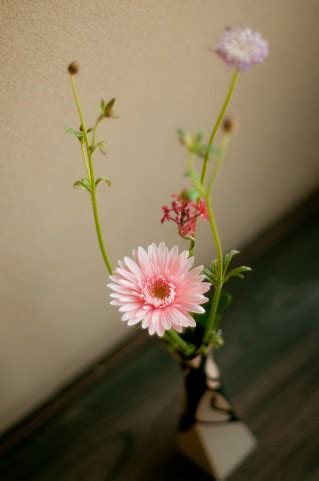 桃花 風水|夫婦の愛情運アップには花瓶をつかう方法があります 